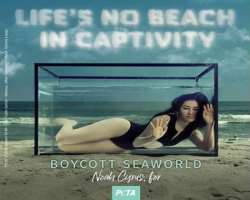 The actress is also involved with PETA. She was featured for the first time in an ad protesting the use of animal dissection in school lab classes. Sh